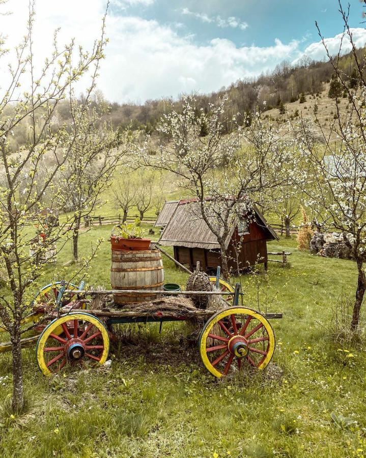 Log Cabin Uvac Nova Varoš Δωμάτιο φωτογραφία