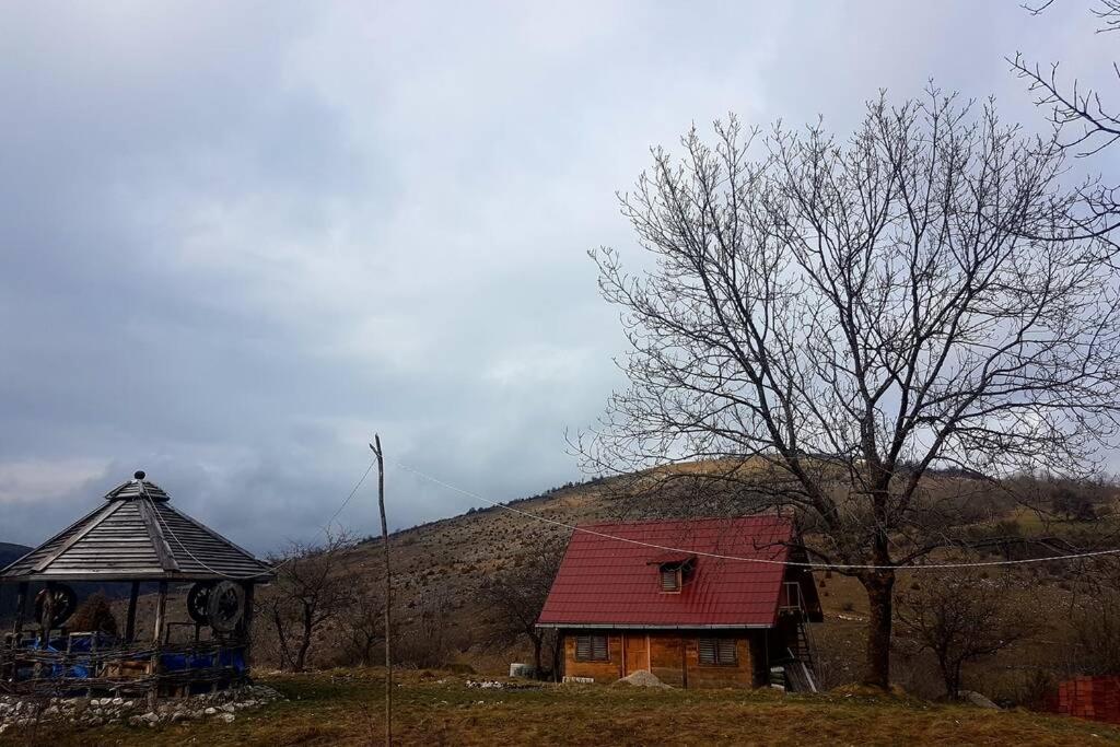 Log Cabin Uvac Nova Varoš Εξωτερικό φωτογραφία