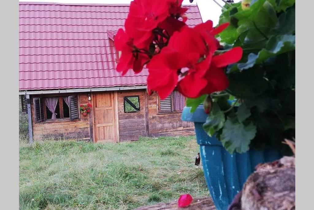 Log Cabin Uvac Nova Varoš Εξωτερικό φωτογραφία