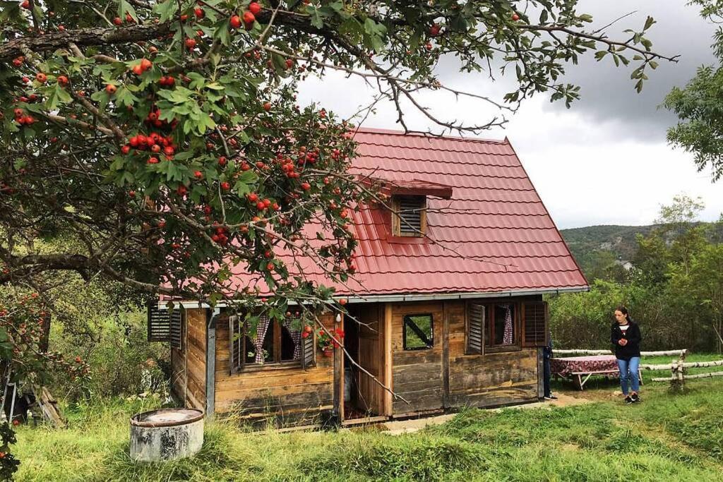 Log Cabin Uvac Nova Varoš Εξωτερικό φωτογραφία